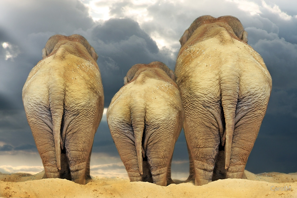 What follows your “but”?