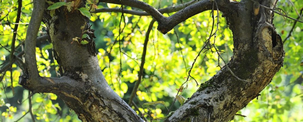 To love and be&nbsp;loved…