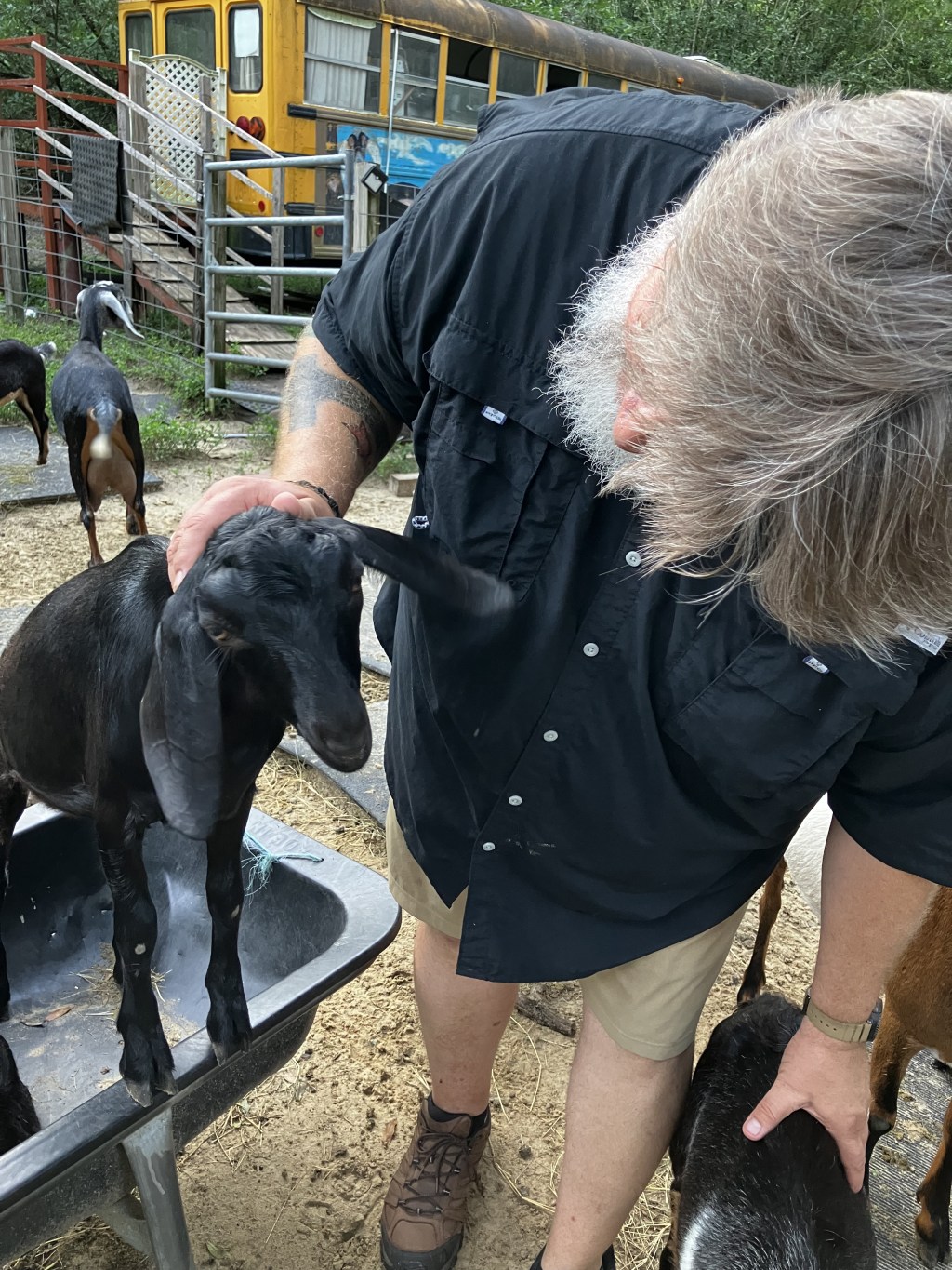 In defense of&nbsp;goats…